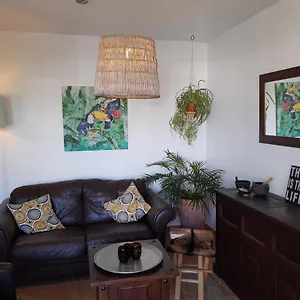 https://casa-para-ti-botanica.puertodelcarmen-hotels.org